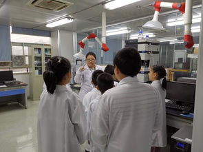 技术服务社会 科学实验中心党支部首届少儿科普活动圆满成功